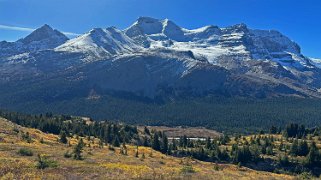 Mont Athabasca 3479 m - Wilcox Pass Trail - Parc National de Jasper Canada 2023